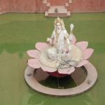 Vraj-Yatra-2014- (1536)